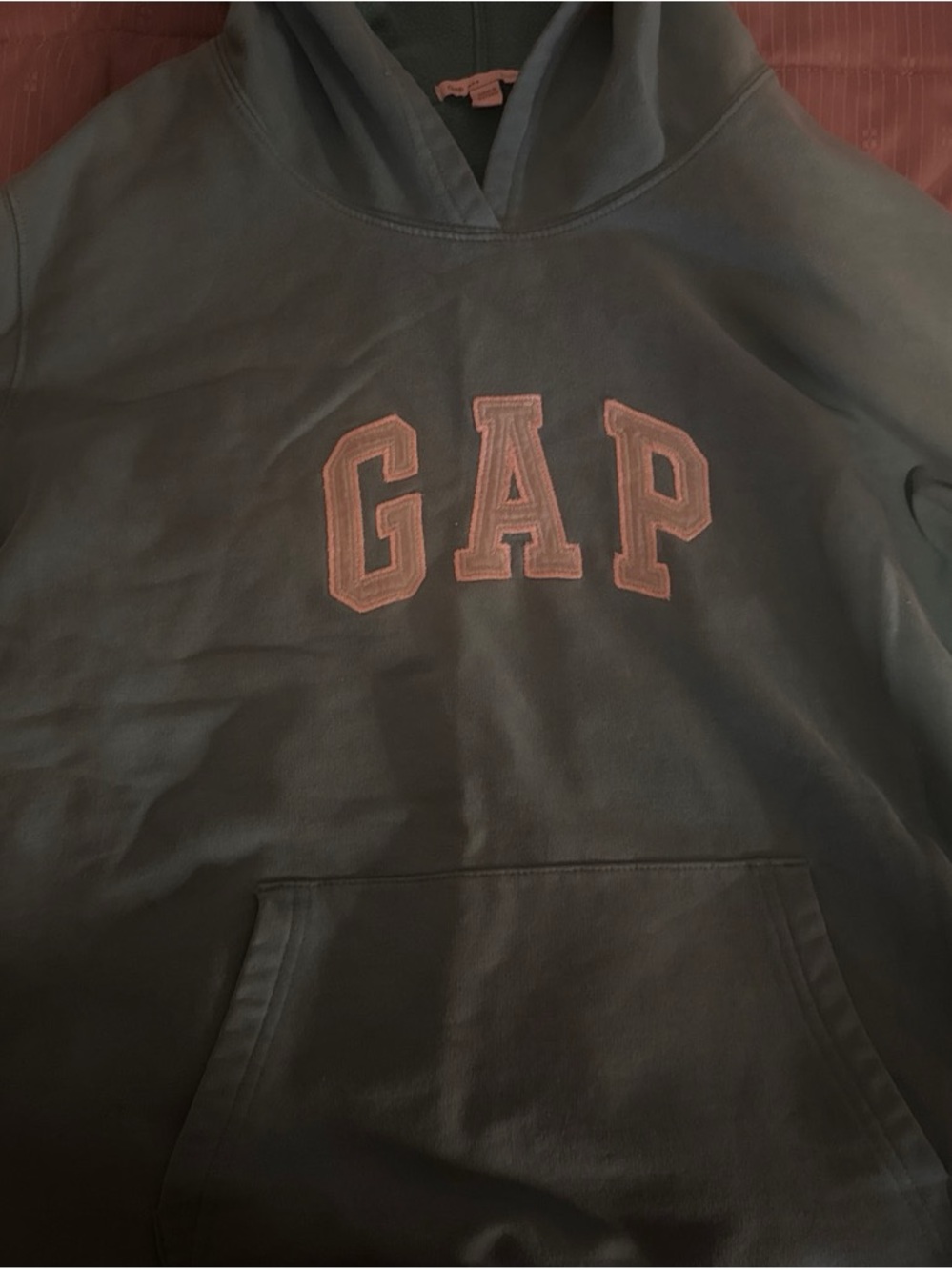 GAP Kids Hoodie in Teal with Pink Logo